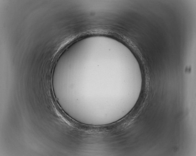 X0000111900625200907271011