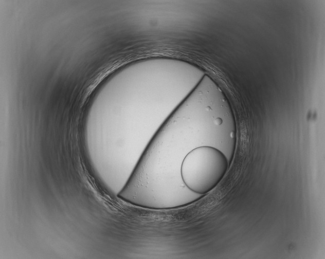 X0000111900626200907271011