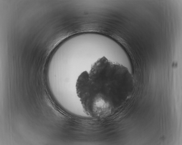 X0000111900627200907271011