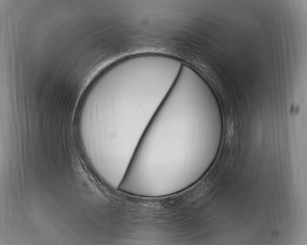 X0000111900628200907271011