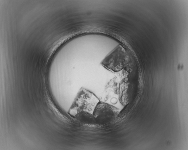 X0000111900629200907271011