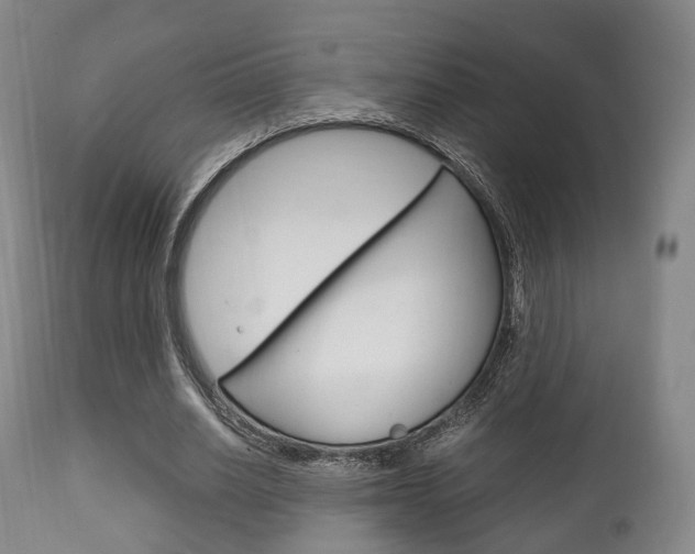 X0000111900630200907271011
