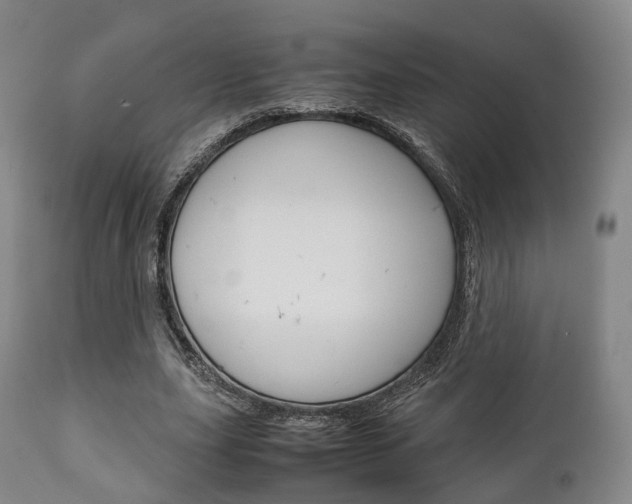 X0000111900631200907271011