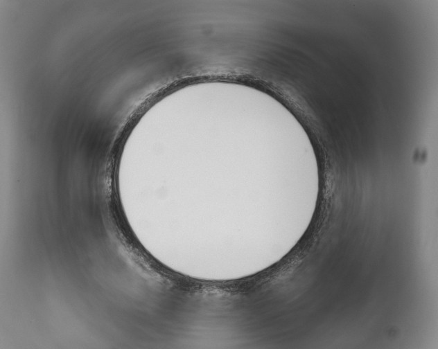 X0000111900632200907271011