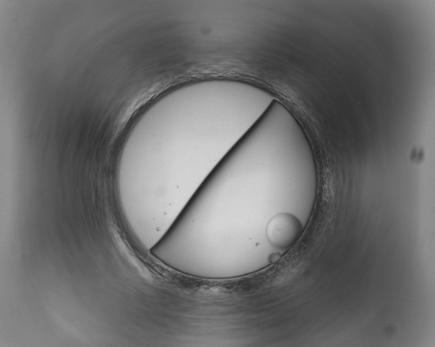X0000111900634200907271011