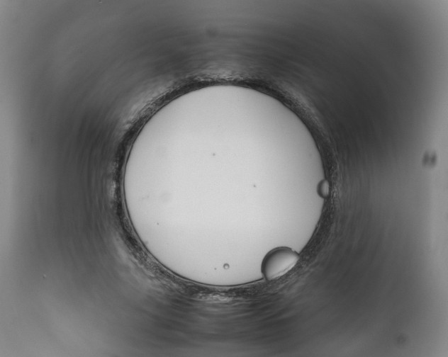 X0000111900635200907271011