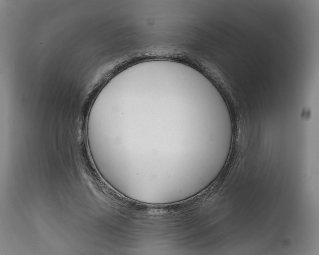 X0000111900636200907271011