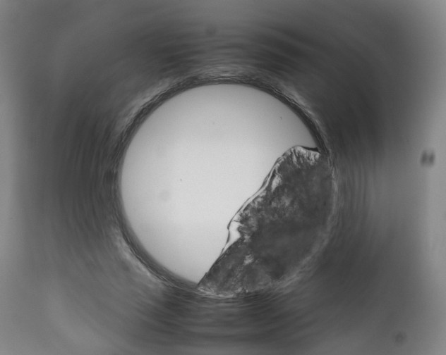 X0000111900637200907271011