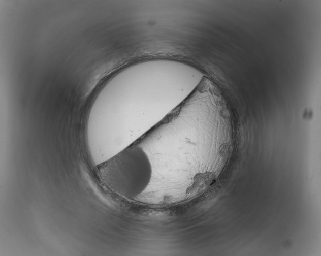 X0000111900638200907271011