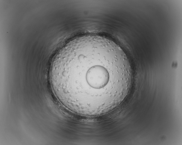 X0000111900639200907271011