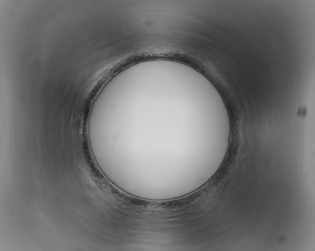 X0000111900640200907271011