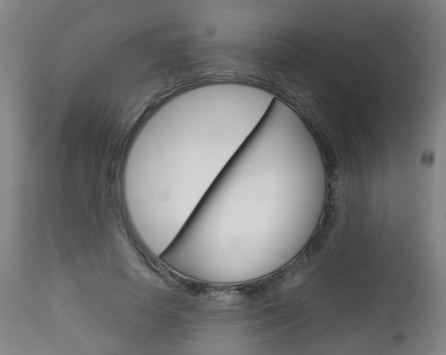 X0000111900642200907271011