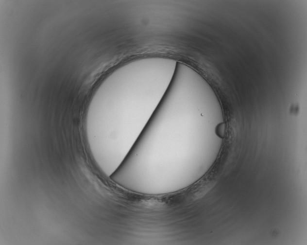 X0000111900644200907271011