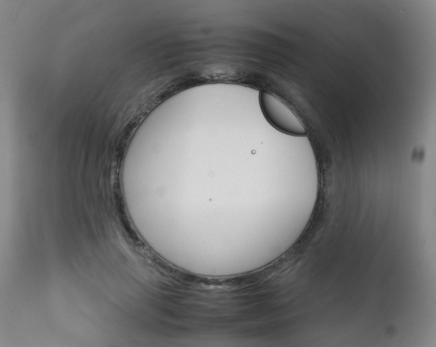 X0000111900645200907271011