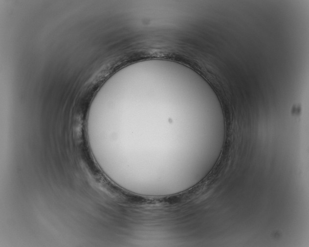 X0000111900646200907271011