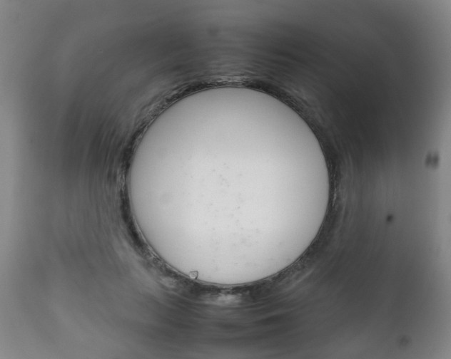 X0000111900647200907271011