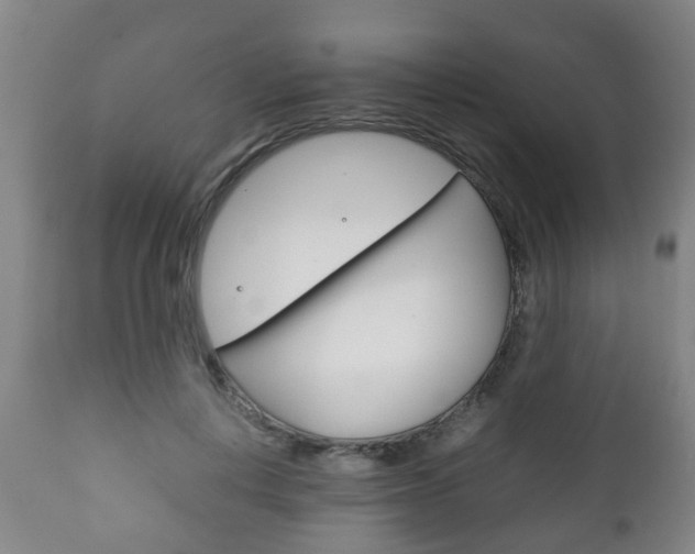 X0000111900648200907271011