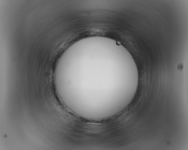 X0000111900649200907271011