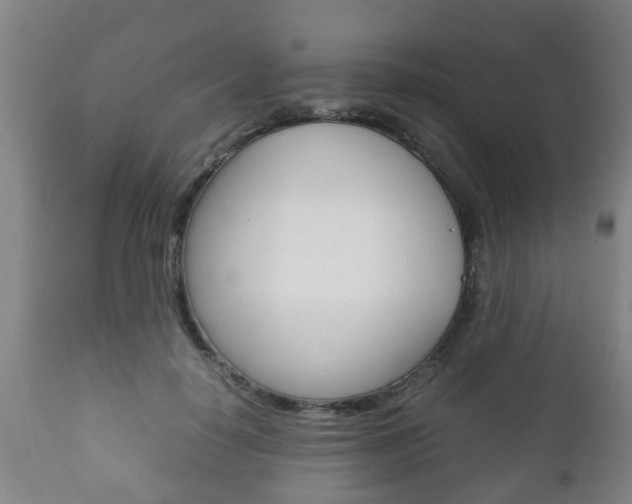 X0000111900650200907271011