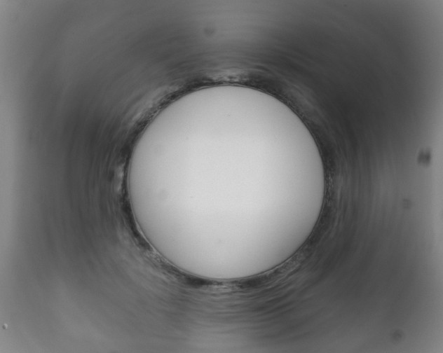 X0000111900652200907271011