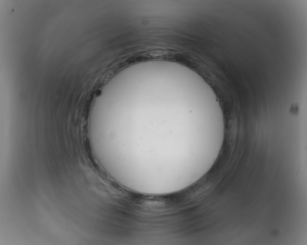 X0000111900653200907271011