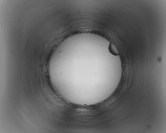 X0000111900655200907271011