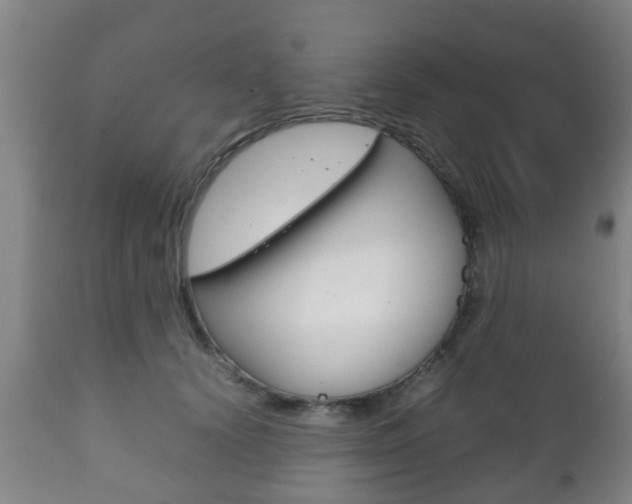 X0000111900656200907271011
