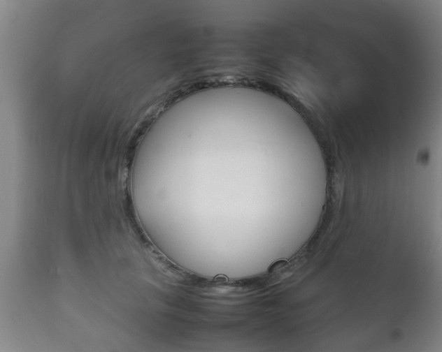 X0000111900657200907271011
