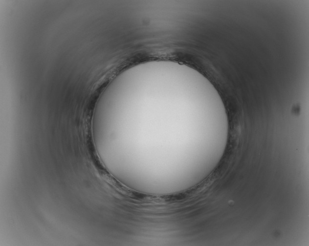 X0000111900658200907271011
