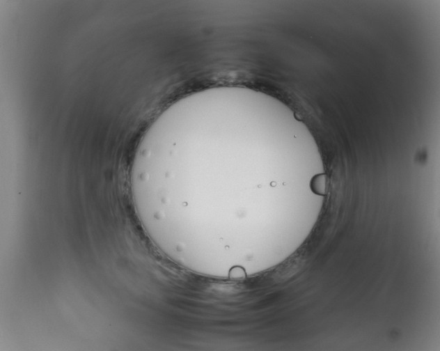 X0000111900659200907271011