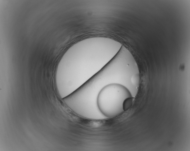 X0000111900662200907271011