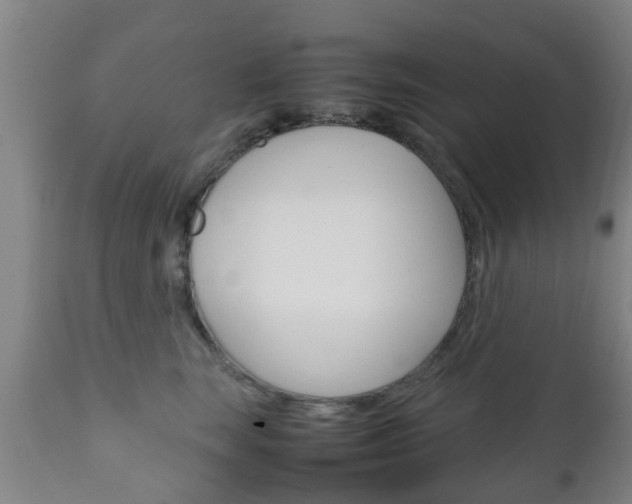 X0000111900663200907271011