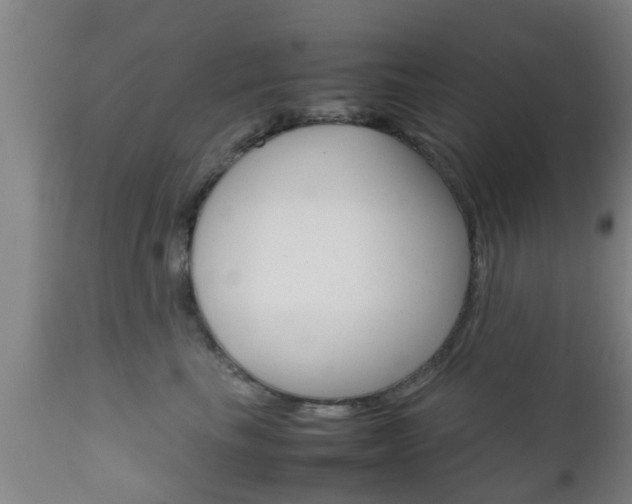 X0000111900665200907271011