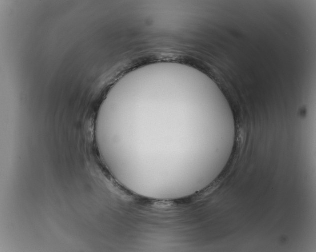 X0000111900666200907271011