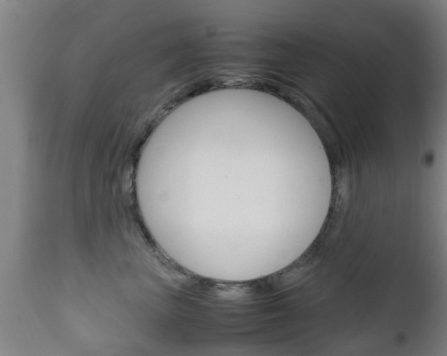X0000111900667200907271011
