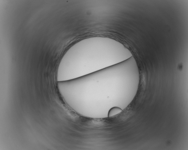 X0000111900668200907271011