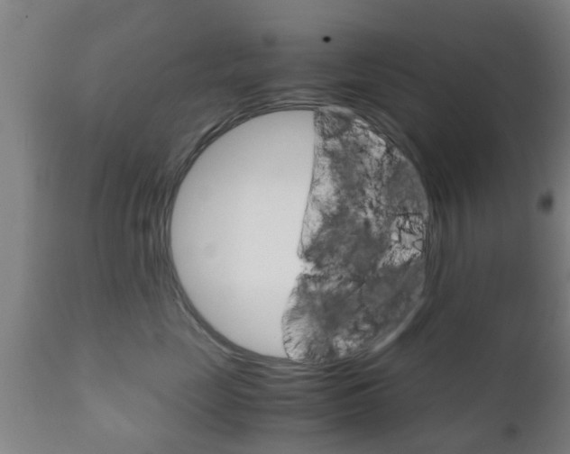 X0000111900669200907271011