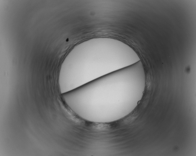 X0000111900670200907271011