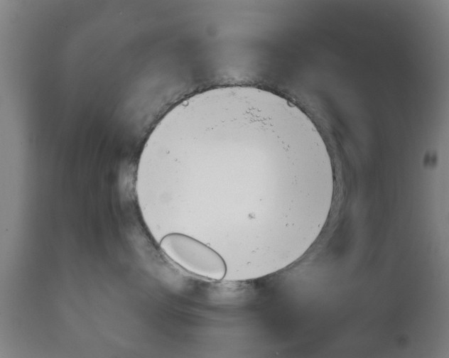X0000111900672200907271011