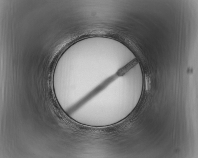 X0000111900675200907271011