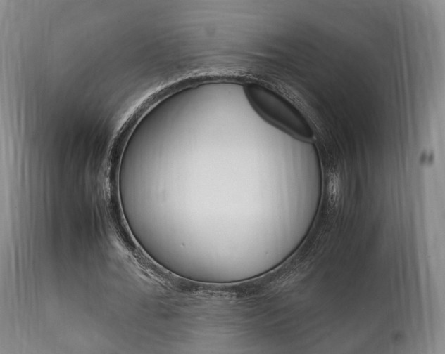 X0000111900676200907271011