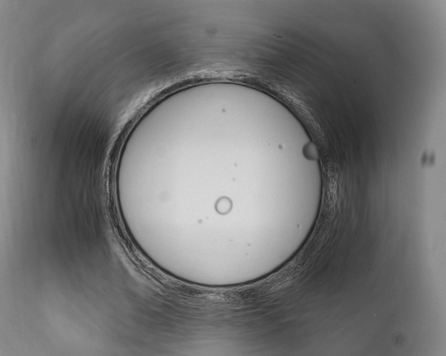 X0000111900678200907271011