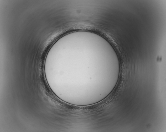 X0000111900679200907271011