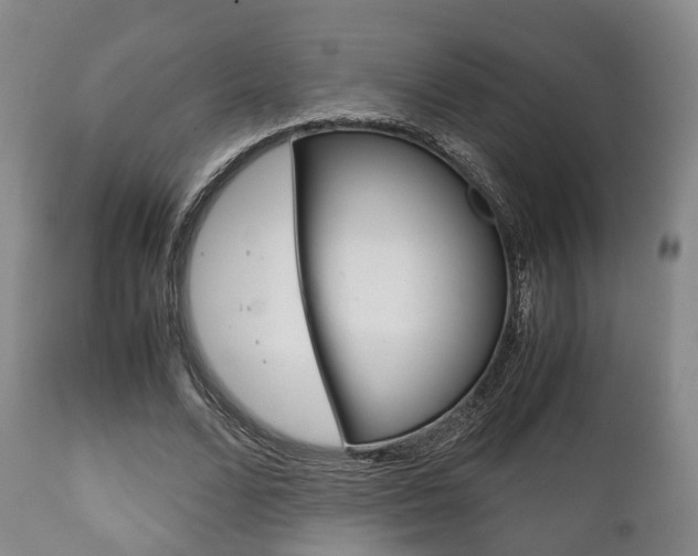 X0000111900680200907271011