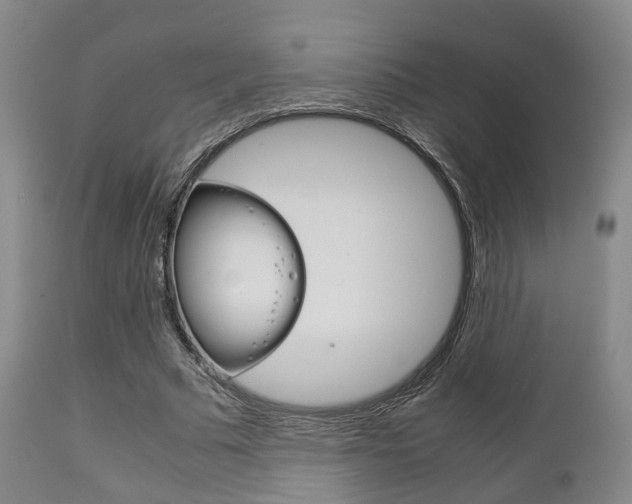 X0000111900681200907271011