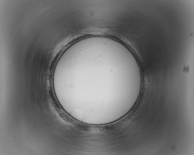 X0000111900682200907271011
