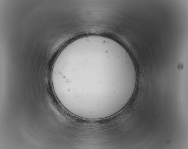 X0000111900683200907271011