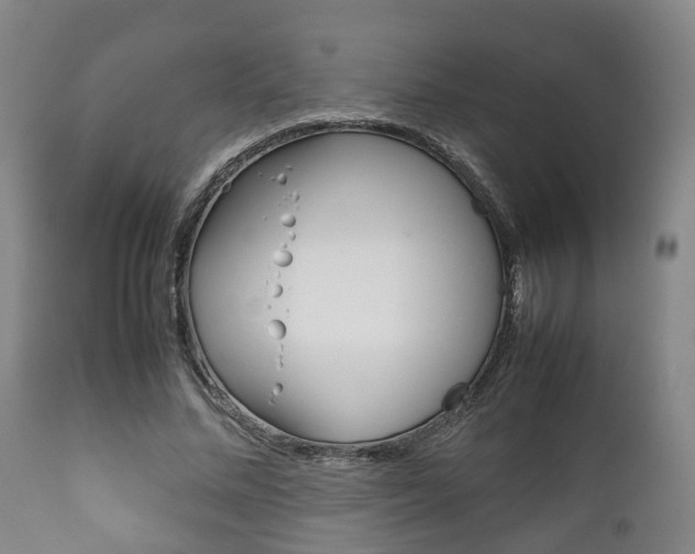 X0000111900684200907271011