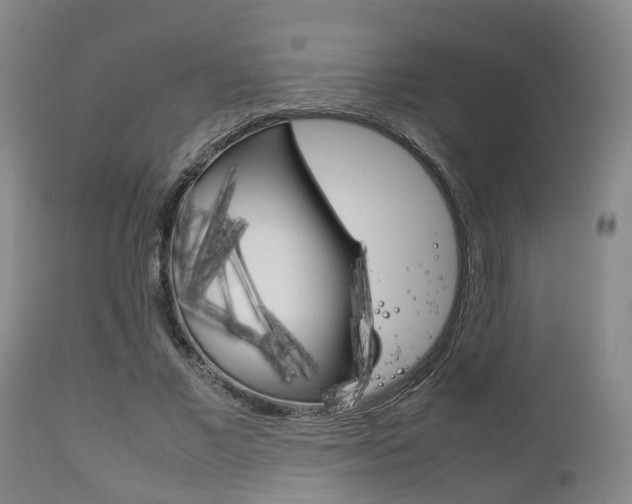 X0000111900685200907271011