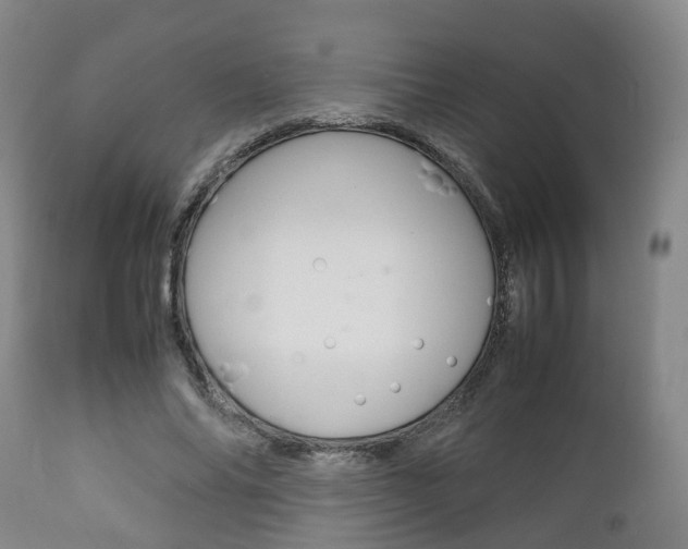 X0000111900686200907271011